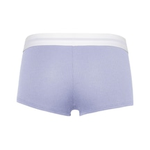 Calvin Klein Kadın Lila Alt İç Giyim Lv00qf8024-6138 Lila