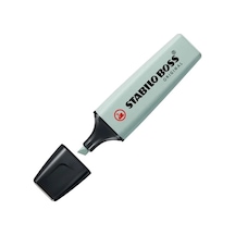 Stabilo Fosforlu Kalem Boss Naturecolors Esintili Mavi 70/163 Çok Renkli