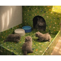 Kedi Evi Karton Baskılı Ve Bahçeli Genişlik 35cm Uzunluk 48cm Derinlik 58cm