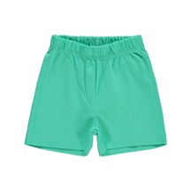 Mint Yeşili