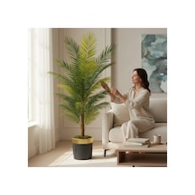 180 Cm Yapay Areka Siyah Gold 30x30 Dekoratif Ağaç