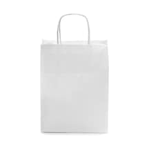 Kağıt Çanta Burgu Saplı 18x24x8cm Körük - Beyaz 250 Adet