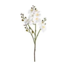 Yapay Çiçek Orkide Gerçek Dokulu Beyaz 80 Cm. Çok Renkli