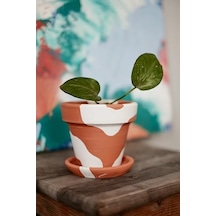 Terracotta Konik Saksı+tabak Bohem Beyaz Küçük