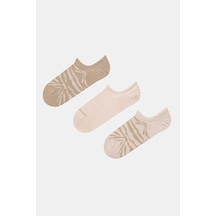 Penti Zebra 3lü Sneaker Çorap Çok Renkli