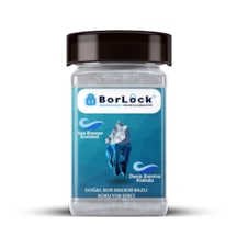 Borlock Deniz Esintisi Kokulu Koku Giderici 175 G