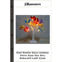 Çok Renkli