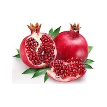 5 Adet Tohum Nar Ağacı Tohumu