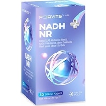 Forvits Lab Nadh Nr 30 Kapsul