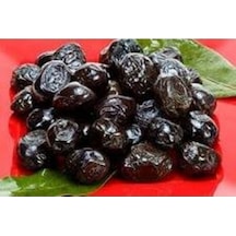 Akcaalan Manzalina Zeytin Fidanı