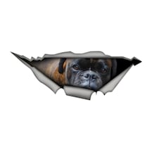 Brindle Alman Boxer Sticker Yapıştırma 20 Cm