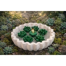 Green Lotus-el Yapımı Sukulent Mum Dekoratif Kase Beyaz-yeşil