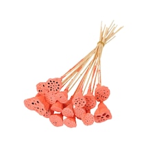 20 Adet Bambu Şiş Saplı Mini Lotus Plant Somon Gerçek Lotus