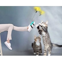 Kedi Oyuncağı Ayak Oltası