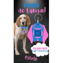 Petjoo 29.Foks Pembe-Mavi Qr'lı Köpek Künyesi