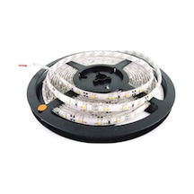 Cata Slikonsuz Şerit Led 5 Metre