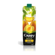 Kayısı Meyve Suyu 1 Lt.