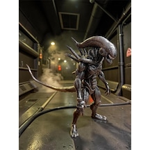 Alien Figür 25 Cm V2