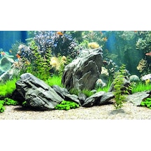 Kanki Pet Kp8550034 Akvaryum Arka Fon Yapıştırma 85 X 50 Cm