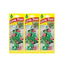 Little Trees 3'Lü Set Jungle Fever - Orman Frh. Oto Kokusu