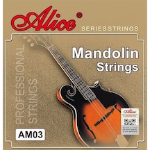 Alice Am03 Mandolin Teli Takım