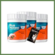 Bezos Playboy Turquoise Tüylere Krem 3 Adet Ceviz & Ceviz Sütü Rus Merhemi 50 Ml + Yanında Jel Hb006