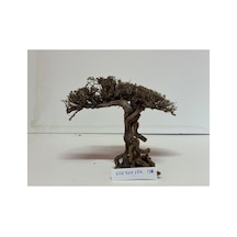 Moss Ağaç Figürü Kök No:178 20x20x17h