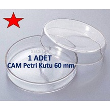 Cam Petri Kabı 60 X 15 Mm Cam Petri Kabı 60mm- 1 Adet