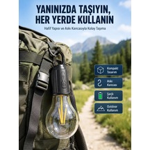 Lexroo T01 Lamba