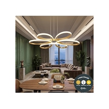 Papatya Model 3 Renk Yanabilen Gold Kasa Avize Ledli Ultra Aydınlatmalı Led Avize