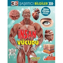 3d Şaşırtıcı Bilgiler - İnsan Vücudu - Dppq-761892