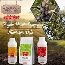 Zeytin Ağaçlarında Hasat Sonrası Kış Uygulaması Seti
