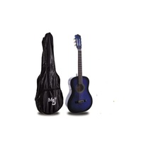 Mavi Kılıflı Gitar