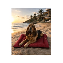 Kedi Ve Köpek Yer Minderi Outdoor Su Geçirmez Üst Kalite Tüy Ve Leke Tutmaz Boncuk Elyaf Kaydırmaz Taban Kedi Ve Köpek Yatağı Bordo - 885355711