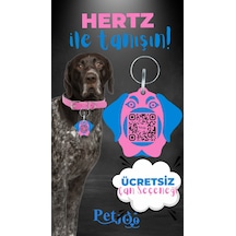 Petjoo 26.Hertz Mavi-Pembe Qr'lı Köpek Künyesi