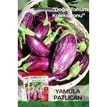 50 Adet Yamula Patlıcan Tohumu