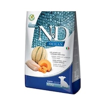 N&D Ocean Morina Balıklı Balkabaklı Kavunlu Mini Irk Yavru Köpek Maması 2500 G