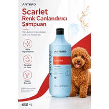 Artero Scarlet Poodle Irkına Özel Renk Arttırıcı Şampuan 650 Ml