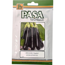 Paşa Tohumculuk Aydın Siyahı Patlıcan Tohumu 10gr Paket 1 Paket
