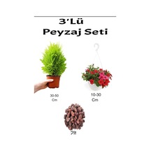 3'lü Peyzaj Seti Limoni Servi Fidanı Kırmızı Petunya Çiçeği Curf