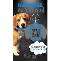 Petjoo 21.Danniel Gri-Mavi Qr'lı Köpek Künyesi