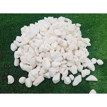 Canlıpetshop Dekoratif Beyaz Çakıl Taşı 5 KG