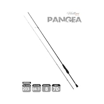 Fujin Hattori Pangea 203cm 04-7gr Lrf Kamışı 682ul