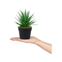 Siyah Mini Plastik Saksıda Yapay Aloe Vera Çiçeği