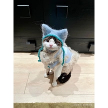 Busako Cat Özel Tasarım Kedi Kıyafeti