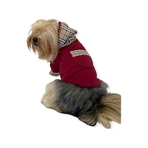 Kemique Bb Limited Kapşonlu Köpek Sweatshirt