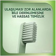 Nourish Sağlıklı Temizlik Diş Fırçası Açık Ahşap