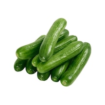 Hıyar Tohumu 20 GR