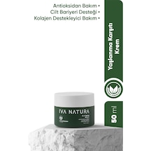 Iva Natura Onarıcı Gece Kremi Ölmez Çiçek Özlü 50 ML