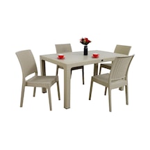 Mandella Elit Rattan 90x150 4 Kişilik Elit Sandalye Masa Takımı Çölbeji Diğer